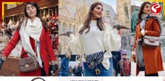 পুজোয় ট্রেন্ডি ব্যাগের ভিড়, ফ্যাশনপ্রেমীদের নজর কাড়ছে নতুন সব ডিজাইন