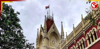 দুর্গাপুজোর অনুদানের হিসাব কোন কোন পুজো কমিটি দেয়নি?’তথ্য তলব হাইকোর্টের