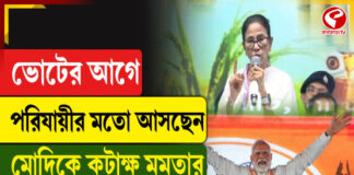 ভোটের আগে পরিযায়ীর মতো আসছেন মোদিকে, কটাক্ষ মমতার