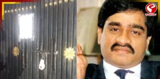 গ্রামের কোণায় ‘ডন’ দাউদের আখড়া! তল্লাশি চালাতেই অবাক পুলিশ