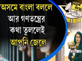 Fourth Pillar | অসমে বাংলা বললে আর গণতন্ত্রের কথা তুললেই আপনি জেলে