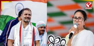 রাহুলের পদযাত্রায় কাকে পাঠাচ্ছে তৃণমূল? জানুন বড় আপডেট