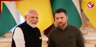 পুতিনের সঙ্গে বৈঠকের আগেই মোদিকে ফোন জেলেনস্কির, কী কথা হল?