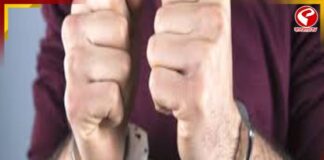 ভারতে অনুপ্রবেশের চেষ্টা, ১৫ জন পাক জেলেকে গ্রেফতার গুজরাটে