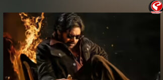 রাজনীতির অঙ্গন থেকে শুরু করে রূপোলি পর্দা, আলো ছড়াচ্ছেন ‘পাওয়ার স্টার’ পবন কল্যাণ!