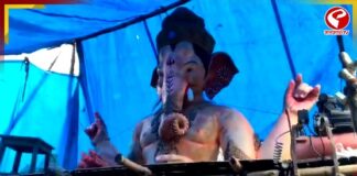 নদিয়ায় এই প্রথম ১৫ ফুটের গণেশ, মহা আড়ম্বরে সিদ্ধিদাতার পুজো