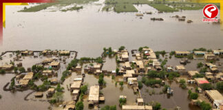 ভয়াবহ পরিস্থিতি পাকিস্তানে, প্রাণ হারালেন ২২ জন!