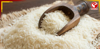 ফিলিপিন্সে চাল রফতানি বাড়াতে চায় ভারত!