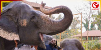 অনন্ত আম্বানির ‘বনতারা’র বিরুদ্ধে সিট গঠন শীর্ষ আদালতের!