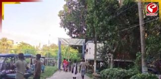 ঘুমের মধ্যেই এলোপাথারি কোপ বাবাকে, চাঞ্চল্য কালনায়