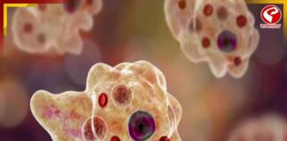 কেরলে অ্যামিবা আতঙ্ক! রোগ প্রতিরোধে নতুন অভিযানে সরকার