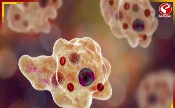 কেরলে অ্যামিবা আতঙ্ক! রোগ প্রতিরোধে নতুন অভিযানে সরকার