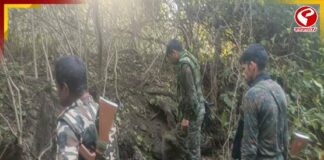 ফের মাও দমনে সাফল্য, মহারাষ্ট্রে খতম ৪ মাও নেতা