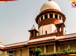 হাইকোর্টগুলিকে রাজ্যে SIR স্থগিত রাখার সুপ্রিম অনুরোধ, ২৬ নভেম্বর শুনানি