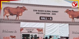 জয়পুরে ‘গৌ মহাকুম্ভ’! উঠছে একের পর এক অদ্ভুত দাবি