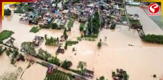চার দশকে ভয়াবহ বন্যা পাঞ্জাবে, জলে ভাসছে ২৩ জেলা,মৃত ৩৭
