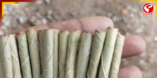 বিড়িতে জিএসটি হ্রাস, বিহারবাসীর মুখ চেয়ে সিদ্ধান্ত !