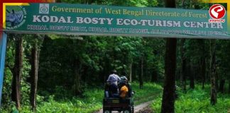 পুজোর মুখে খুলছে ডুয়ার্স, বেহাল সাফারি রুট! উদ্বিগ্ন পর্যটন ব্যবসায়ীরা