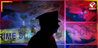 শহরের গোপন ডেরায় হানা! গোয়েন্দাদের হাতে এল কোটি টাকার জিনিস