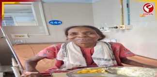 কুকুর থেকে ছড়াচ্ছে ভয়ঙ্কর রোগ! প্রাণে বাঁচলেন বৃদ্ধা