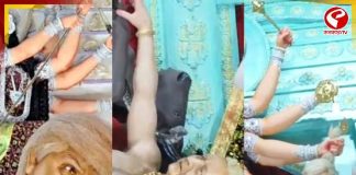 কোথাও ট্রাম্প, কোথাও ইউনুস! এবার পুজোয় সুপারহিট মহিষাসুর