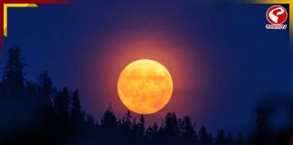 পুজোর পরেই আকাশে উঠবে ‘বিরল’ চাঁদ! কবে, কোথায় দেখবেন?