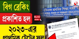 প্রকাশিত হল ২০২৩-এর প্রাথমিক টেটের ফল, পাশের হার কত?