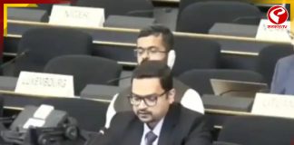 রাষ্ট্রপুঞ্জের মানবাধিকার পরিষদে পাকিস্তানকে তুলোধনা ভারতের!