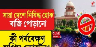 ‘সারা দেশে নিষিদ্ধ হোক বাজি পোড়ানো’ কী পর্যবেক্ষণ সুপ্রিম কোর্টের?