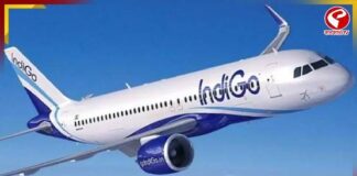 মাঝ আকাশে পাখির ধাক্কা খেল ইন্ডিগোর বিমান