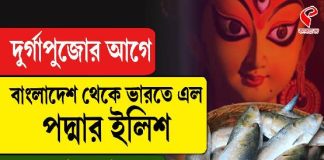 দুর্গাপুজোর আগে বাংলাদেশ থেকে ভারতে এল পদ্মার ইলিশ, কত দাম জানেন?
