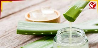 ত্বক না বুঝেই অ্যালোভেরা জেল মাখছেন? সঠিক উপায়ে না মাখলেই ক্ষতি