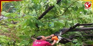 বানভাসি শহরকে স্বাভাবিক ছন্দে ফেরাতে মাঠে নামল কলকাতা পুলিশের ডিএমজি