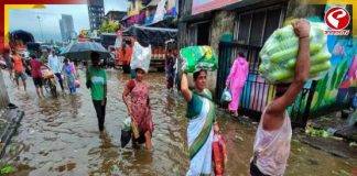 বানভাসি মহারাষ্ট্র! ভারী বৃষ্টিতে প্রাণ গেল ১০ জনের, উদ্ধার ১১,৮০০ জনেরও বেশি