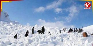 সিয়াচেন ক্যাম্পে ভয়াবহ তুষারধস! নিহত ৩ সেনা জওয়ান