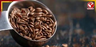 পুজোয় হেয়ার বোটক্স নয়! একমুঠো তিসিতেই করুন ঘরোয়া ট্রিটমেন্ট