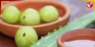 শুধু আমলকি নয়! চুলের যত্নে অ্যালোভেরা মিশিয়েও মাখতে পারেন