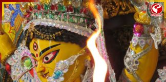 হাতির পিঠে চড়ে হত বাড়িতে মায়ের আগমন হত