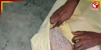 পোকা ধরা চাল-ডাল দিয়ে অঙ্গনওয়াড়ি কেন্দ্রের খাবার তৈরি! ক্ষুব্ধ অভিভাবকরা