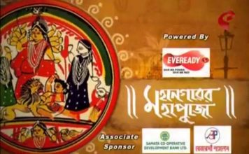 মহানগরের মহাপুজোয় হিন্দুস্তান পার্ক