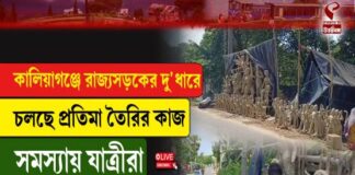 কালিয়াগঞ্জের রাজ্যসড়কের দু’ধারে চলছে প্রতিমা তৈরির কাজ, সমস্যায় যাত্রীরা