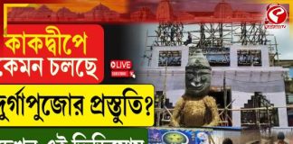 কাকদ্বীপে পুজোয় চমক, অমৃতায়ন সঙ্ঘের মণ্ডপে জগন্নাথধামের ছোঁয়া