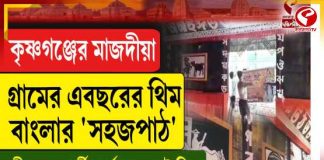 কৃষ্ণগঞ্জের মাজদীয়া গ্রামের এবছরের থিম বাংলার ‘সহজপাঠ’