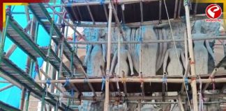 পরিবেশ বান্ধব মণ্ডপে সাজবে আলিপুরদুয়ারের স্বামীজী ক্লাবের পুজো