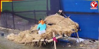 পুজো মণ্ডপের থিম DVC র ছাড়া জলে খানাকুলের আর্তনাদ