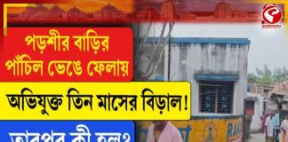 শান্তিপুরে তিন মাসের বিড়ালের বিরুদ্ধে পাঁচিল ভাঙার অভিযোগ