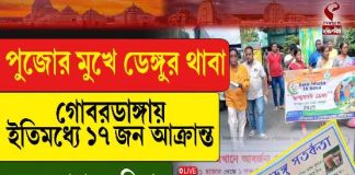 পুজোর মুখে ডেঙ্গুর থাবা, গোবরডাঙায় আক্রান্ত ১৭