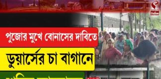 পুজোর মুখে বোনাসের দাবিতে ডুয়ার্সের চা বাগানে শ্রমিক আন্দোলন