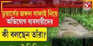ডুয়ার্সের জঙ্গল সাফাই নিয়ে অভিযোগ ব্যবসায়ীদের? কী বলছেন তাঁরা?