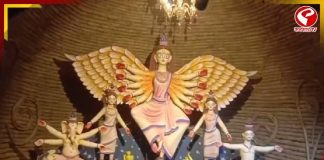 প্রবীণ মায়েদের হাতে উদ্বোধন পুজোর, থিম ‘ইচ্ছে ডানা’